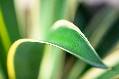 《GT赛车7》2025年2月更新上线 添加3辆新车